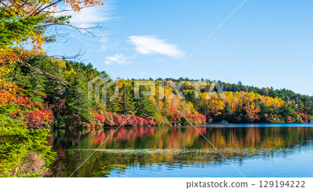 秋天的白駒池 129194222