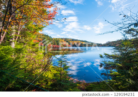 秋天的白駒池 秋天的白駒池 129194231