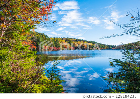 Shirakoma pond in autumn Shirakoma pond in autumn 129194233