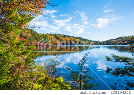 Shirakoma pond in autumn Shirakoma pond in autumn 129194238