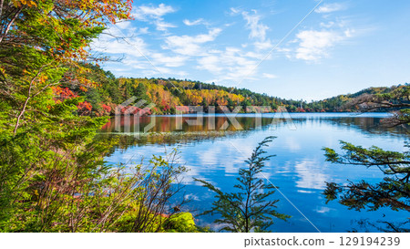 Shirakoma pond in autumn Shirakoma pond in autumn 129194239