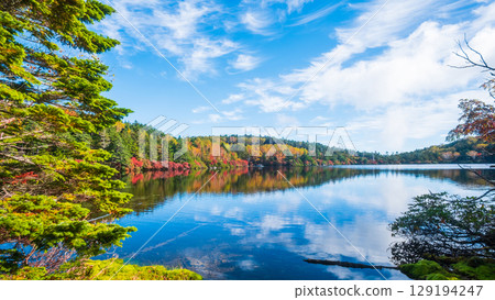 秋天的白駒池 129194247