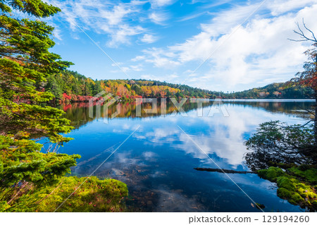 秋天的白駒池 129194260