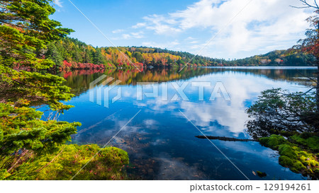 秋天的白駒池 129194261