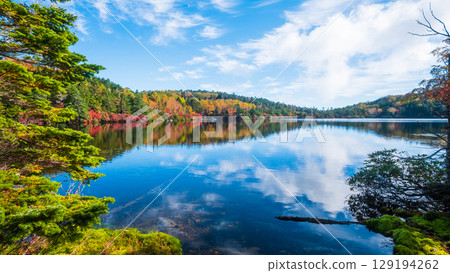 Shirakoma pond in autumn 129194262