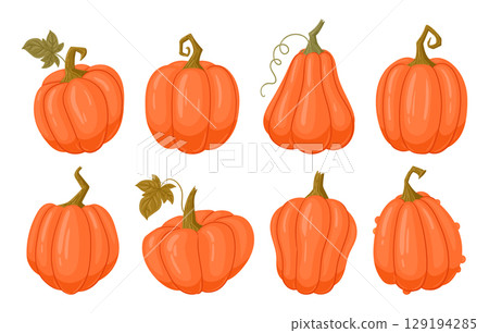 Halloween pumpkins. Cartoon fall harvest gourds, squash with leaves flat vector illustration set. Autumn halloween and thanksgiving pumpkins collection 129194285