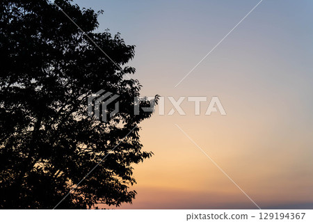 Sunset 129194367
