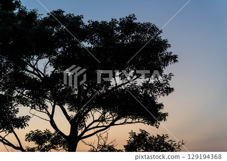 Sunset Sunset 129194368