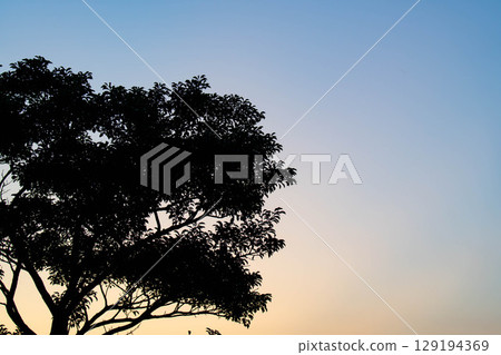 Sunset Sunset 129194369