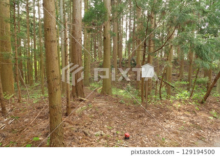 Tsukihashi Castle Ruins 129194500