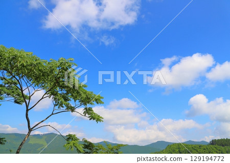 Blue sky, clouds, trees, mountains 129194772