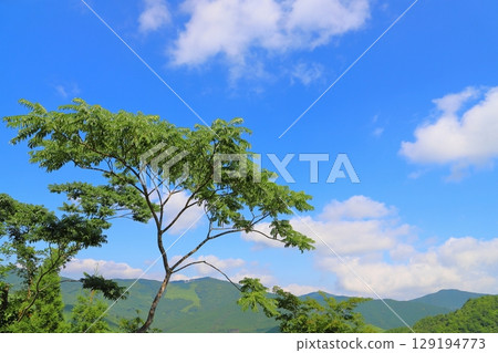 Blue sky, clouds, trees, mountains 129194773