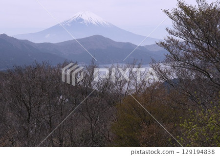 Mount Fuji from Tenkakudai Observatory Mount Fuji from Tenkakudai Observatory 129194838