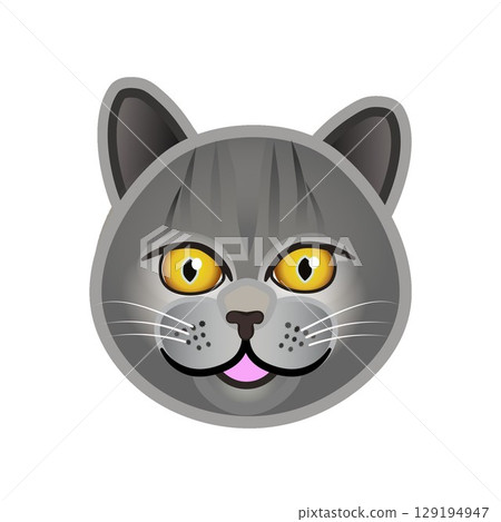 英國短毛貓臉部插圖 129194947