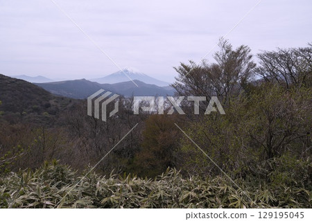 Mount Fuji from Tenkakudai Observatory 129195045