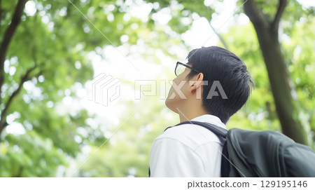 A male student looking up at a tree in the forest A male student looking up at a tree in the forest 129195146