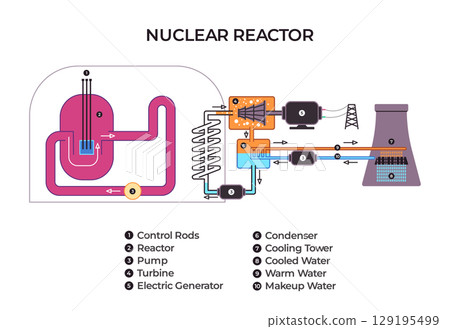 labeled diagram illustrating the components and operational flow of a pressurized water nuclear power reactor from the core to the cooling tower for energy generation labeled diagram illustrating the components and operational flow of a pressurized water nuclear power reactor from the core to the cooling tower for energy generation 129195499