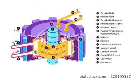 Tokamak thermonuclear fusion reactor including toroidal and poloidal fields plasma magnets and fuel showcasing the process of controlled thermonuclear fusion labeled illustration Tokamak thermonuclear fusion reactor including toroidal and poloidal fields plasma magnets and fuel showcasing the process of controlled thermonuclear fusion labeled illustration 129195527
