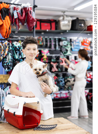 Teen boy choose carrier for small pet Yorkshire terrier dog Teen boy choose carrier for small pet Yorkshire terrier dog 129195884
