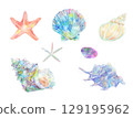 Colorful seashells and starfish painted in watercolor 129195962
