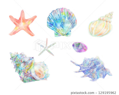 用水彩畫的彩色貝殼與海星 129195962