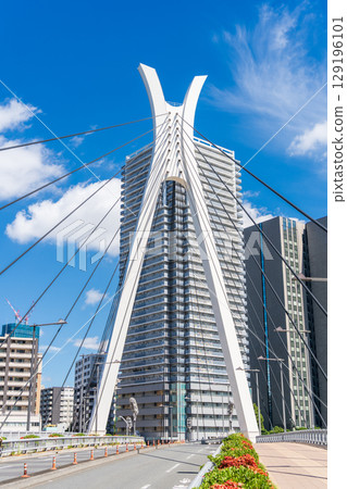 "Tokyo" Scenery of the Chuo Bridge over the Sumida River 129196101
