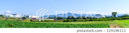 Panoramic view of the area surrounding semiconductor-related companies, including TSMC, Sony Semiconductor, and Tokyo Electron (Kikuyo Town, Kikuchi District, Kumamoto Prefecture) 129196111