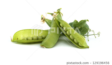Fresh green pea pods, showcasing the beauty and freshness of spring vegetables. Fresh green pea pods, showcasing the beauty and freshness of spring vegetables. 129196456