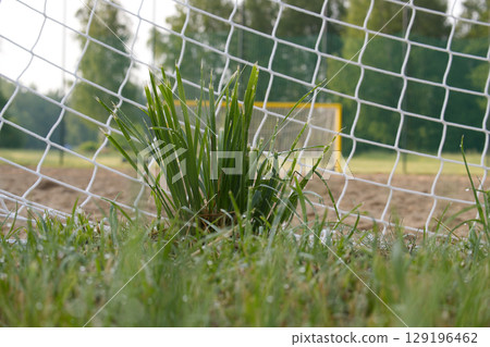 Close-Up of Grass in a Soccer Goal Net on a Field Close-Up of Grass in a Soccer Goal Net on a Field 129196462