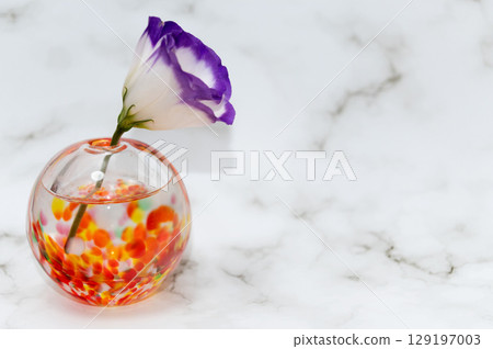 一株紫邊洋桔梗,插在暖色花瓶中,擺放在左側,朝向右側 一株紫邊洋桔梗,插在暖色花瓶中,擺放在左側,朝向右側 129197003