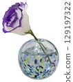 A single purple-edged lisianthus in a cool-toned vase, facing left A single purple-edged lisianthus in a cool-toned vase, facing left 129197322