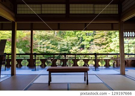 新潟縣新潟市舊齋藤家別墅花園，擁有美麗的花園和建築 129197666