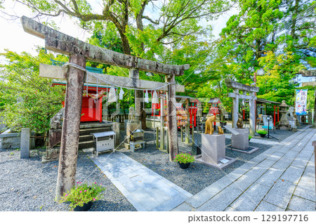 Kotozaki Hachiman Shrine in summer, Ube City, Yamaguchi Prefecture 129197716