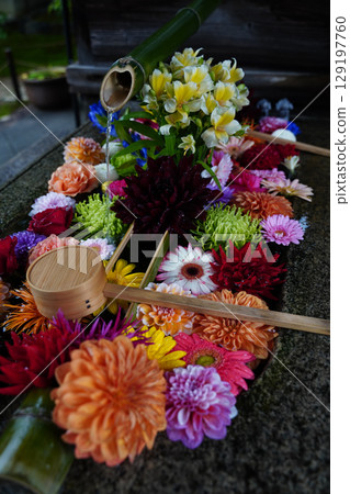 Flower water fountain at Shorinji Temple, a subtemple of Tofukuji Temple Flower water fountain at Shorinji Temple, a subtemple of Tofukuji Temple 129197760