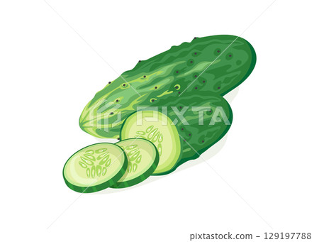 Fresh green cucumber slice stock illustration 129197788