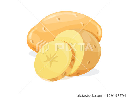 Potatoes vector illustration. isolated on white background. stock illustration Potatoes vector illustration. isolated on white background. stock illustration 129197794