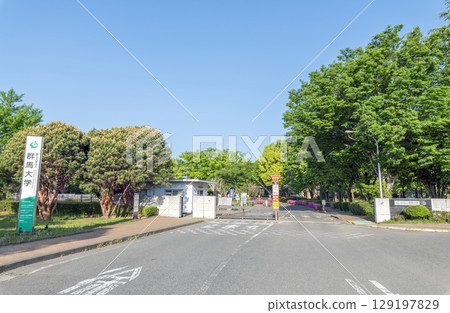 群馬縣前橋市群馬大學(荒牧校區) 群馬縣前橋市群馬大學(荒牧校區) 129197829