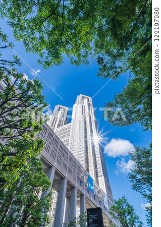 "Tokyo" Tokyo Metropolitan Government Building Surrounded by Greenery, Shinjuku Ward 129197980