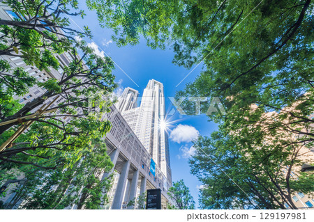 "Tokyo" Tokyo Metropolitan Government Building Surrounded by Greenery, Shinjuku Ward 129197981