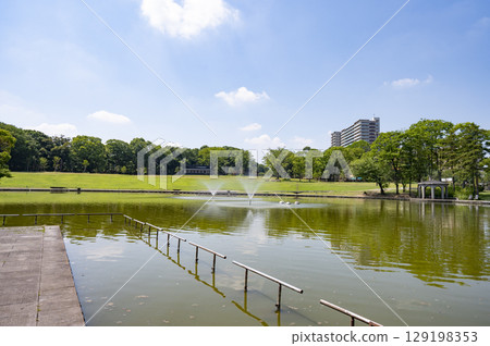 Tama Central Park 129198353