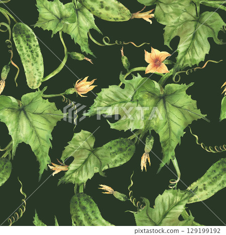 Watercolor Cucumber seamless pattern. Growing plant with crop of vegetables, flowers, buds and curly tendrils Hand painted illustration for farming packaging, fabric print on isolated dark background 129199192