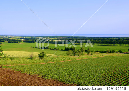 Fields and the Sea of Okhotsk (Shari, Hokkaido) Fields and the Sea of Okhotsk (Shari, Hokkaido) 129199326