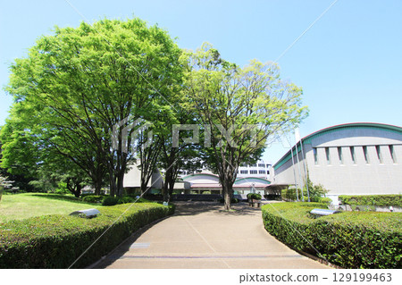 世田谷藝術博物館 129199463