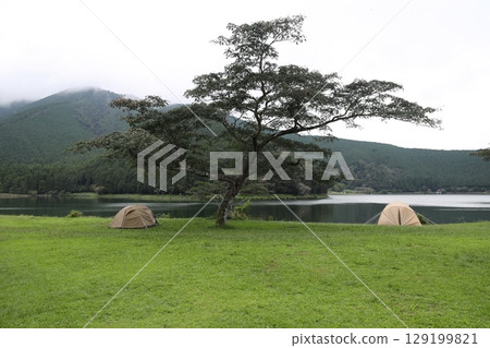佃湖露營地岸邊樹蔭下搭建的大帳篷 129199821