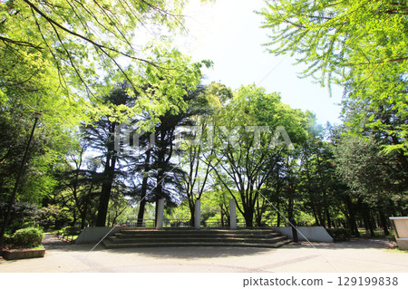 Kinutakoen新鮮的綠色 129199838