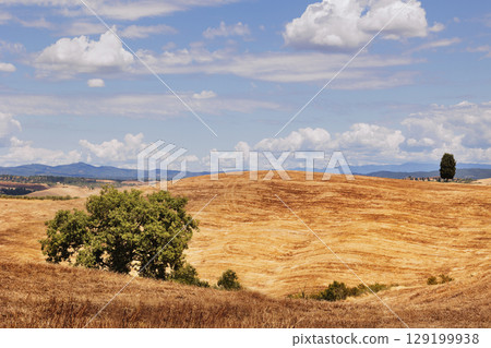 Panoramic view in Asciano hills , Italy Panoramic view in Asciano hills , Italy 129199938
