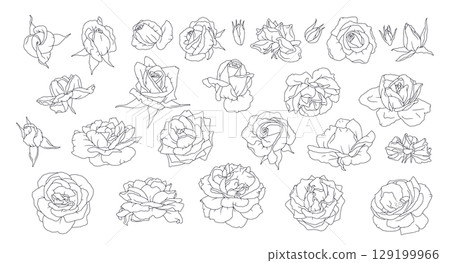 Hand drawn black and white line art rose flowers set isolated clip art 129199966