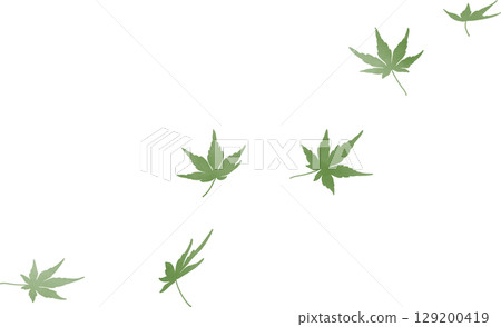 飄落的水彩綠楓葉 | 楓葉，新綠，綠楓，水彩畫，春天，初夏 129200419