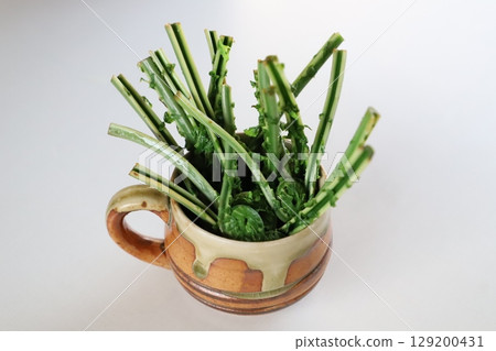 杯裝油菜 杯裝油菜 129200431