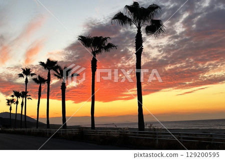 Sunset on a coast Sunset on a coast 129200595